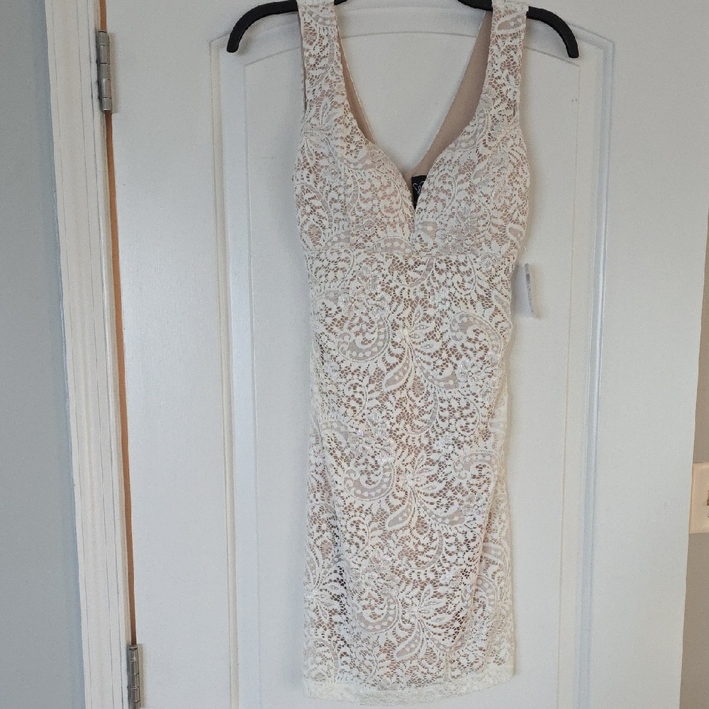 Windsor White Lace Mini Dress